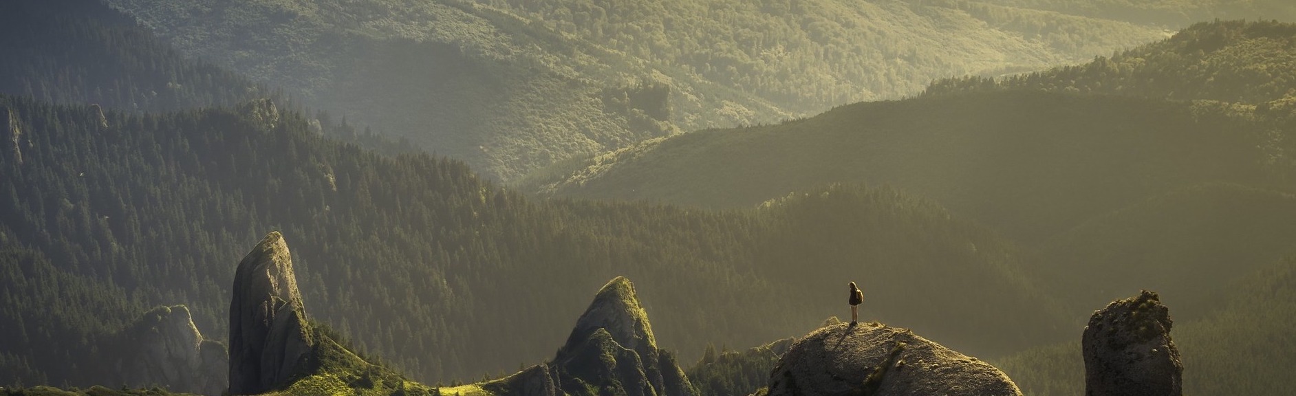 Dana Pensiun Bank Sulteng